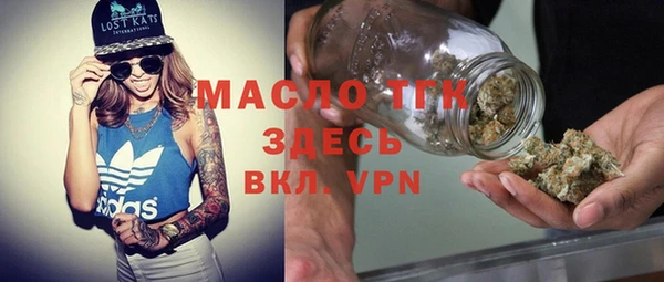 гидра Арсеньев