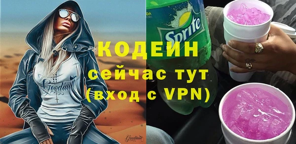 гидра Арсеньев