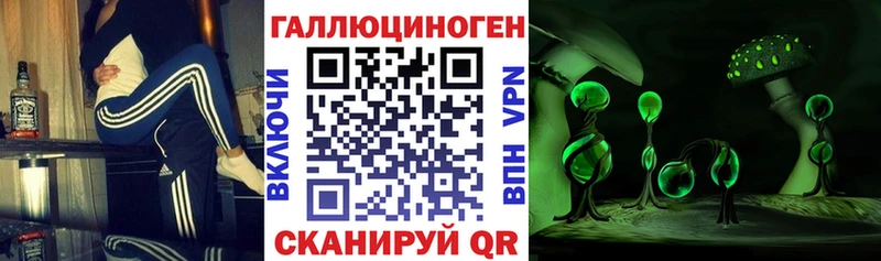 Купить  Шимановск  Галлюциногенные грибы Psilocybe 